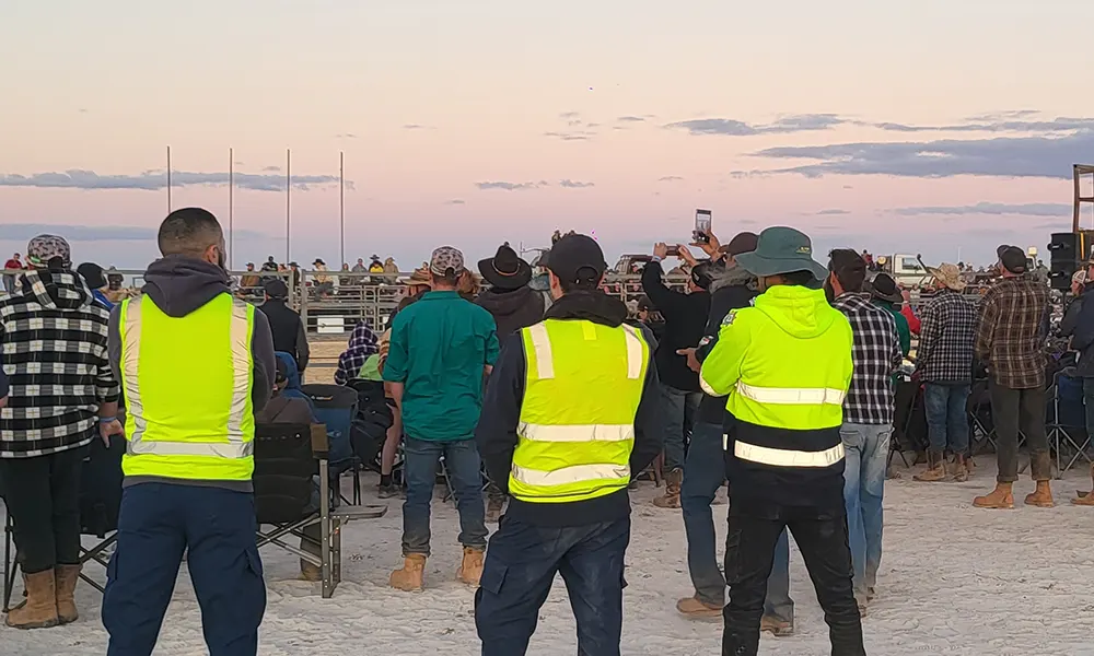 Crowd Control Strategies