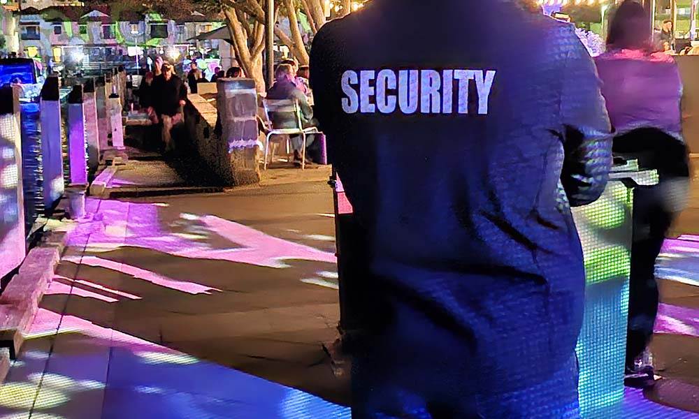 professional security service